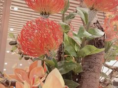 -京华烟云·北京烤鸭(领展购物广场·中关村店)