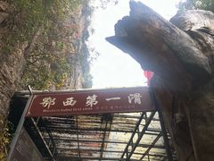 -蝶舞清江·恩施云顶景区(黄鹤峰林)