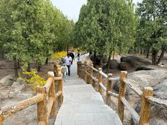 -白水寺森林公园