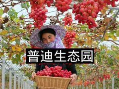 -普迪生态园