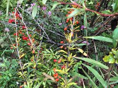 -蟠龙山长城景区