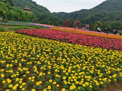 -广州市石门国家森林公园
