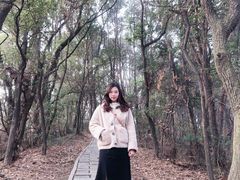 -东湖磨山景区