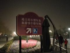 -迪士尼乐园停车场