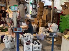 -马陆小张葡萄园农家乐