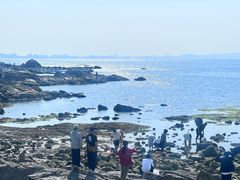 -养马岛旅游度假区