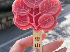 -香山公园