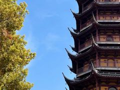 -红梅公园