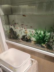 -MLYG美来瑜伽·普拉提