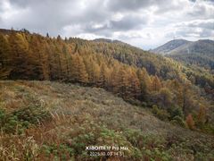 -驼梁风景区