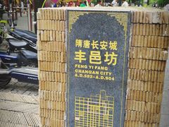 -唐城墙遗址公园