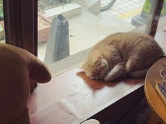 -咖法森林·咖啡  酒吧(天河店)