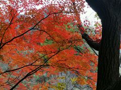 -丹东天桥沟景区