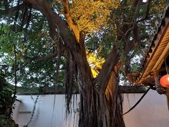 -文儒九号·闽菜馆(三坊七巷店)