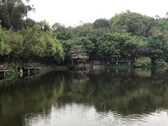 -老木棉·匠园
