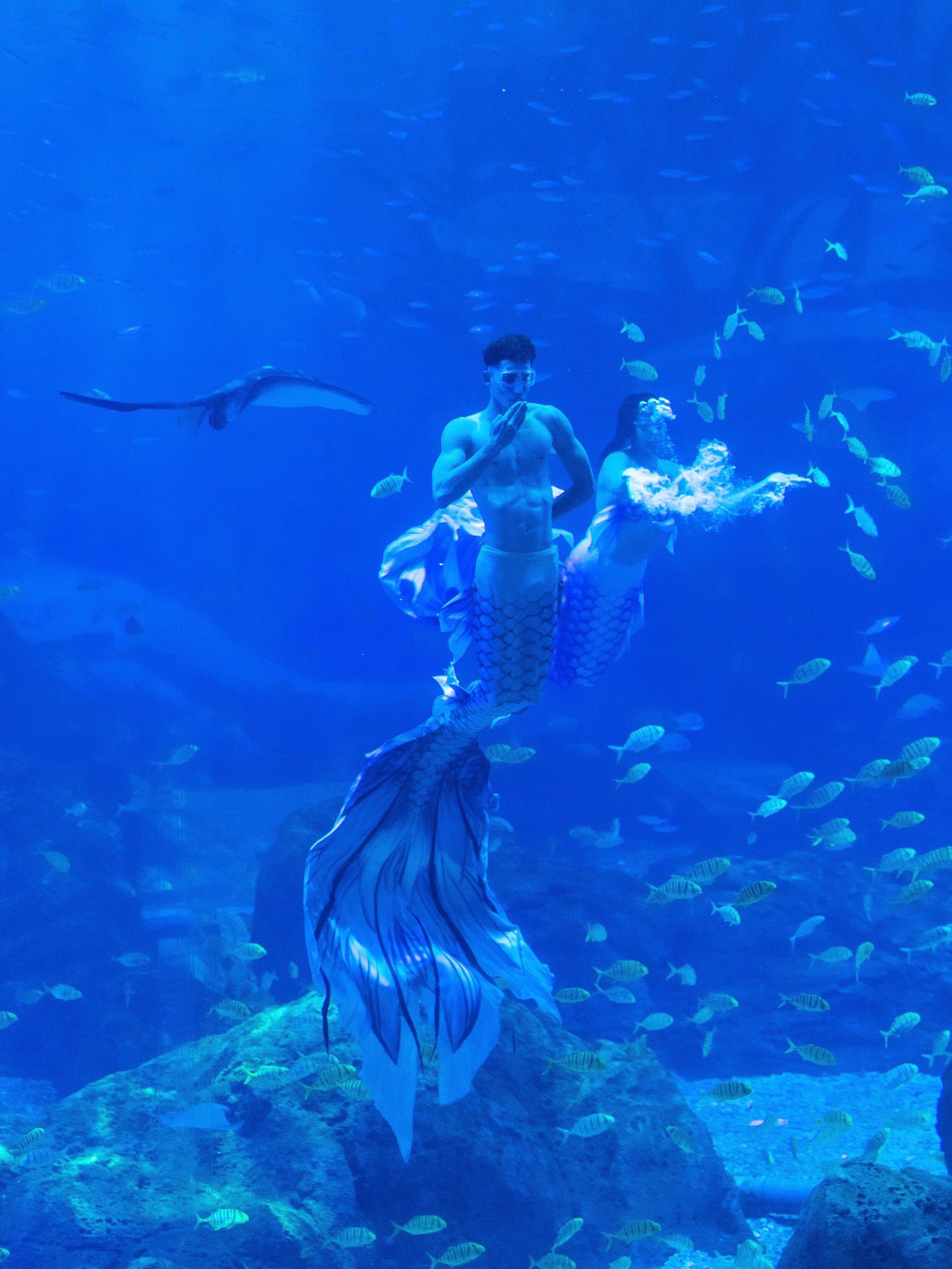 9月10日-9月17日凭教师资格证可以免费入园,一直持续到中秋假期,刚好