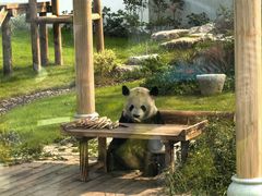 -无锡动物园·太湖欢乐园