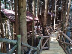 -武陵山森林公园