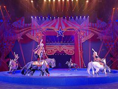 -珠海横琴长隆《卡卡虎奇遇记》