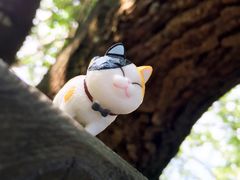 -广州市流溪河国家森林公园