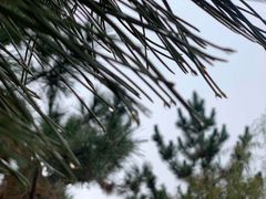 -徂徕山森林康养度假谷温泉