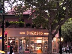 -WHEN PIGS FLY当猪飞