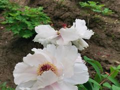 -江南大学(蠡湖校区)