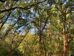 -禅宗少林·音乐大典