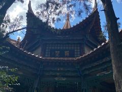 -昆明动物园