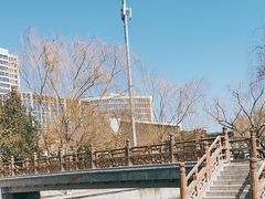 -元大都城垣遗址公园