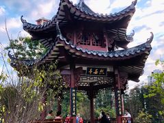 -四海公园(南山区)