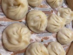 -朱新年·苏式汤团·面点(北寺塔店)