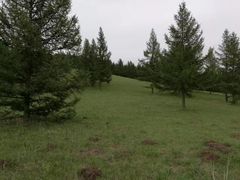 -塞罕坝国家级自然保护区