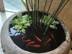 -南堂馆·新川菜(天府三街店)