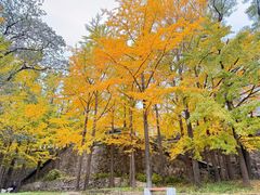 -阳台山自然风景区