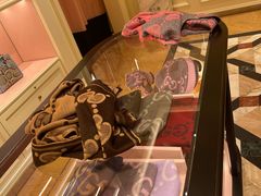 -GUCCI(南京德基店)