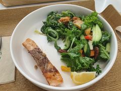 煎挪威三文鱼-Green Option(官舍店)