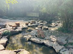 -兰亭风景区