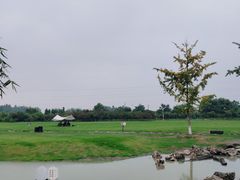 -夏河溪乡野公园