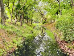 -蜀冈西峰生态公园