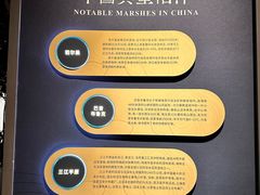 -中国湿地博物馆