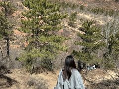 -红山国家森林公园