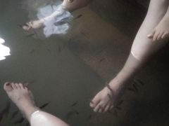 -楼观道温泉酒店