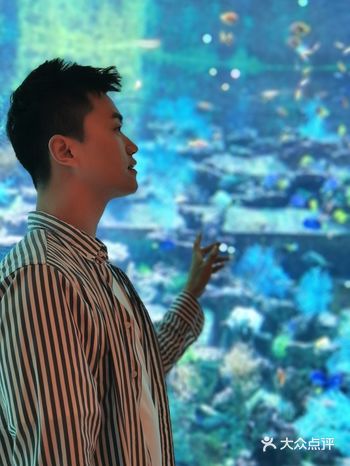 探索亚特兰蒂斯 失落的空间水族馆