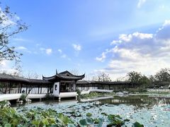 -上海滨江森林公园
