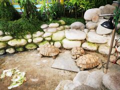 -南宫五洲植物乐园