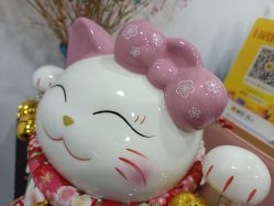 -凡碧诗毛孔收细