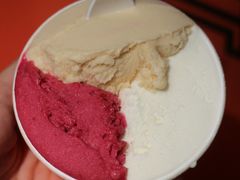 -Dip in Gelato(富民路店)