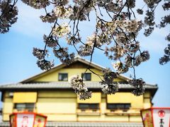 -蟹道乐(網元別館店)
