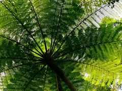 -热带雨林自然公园